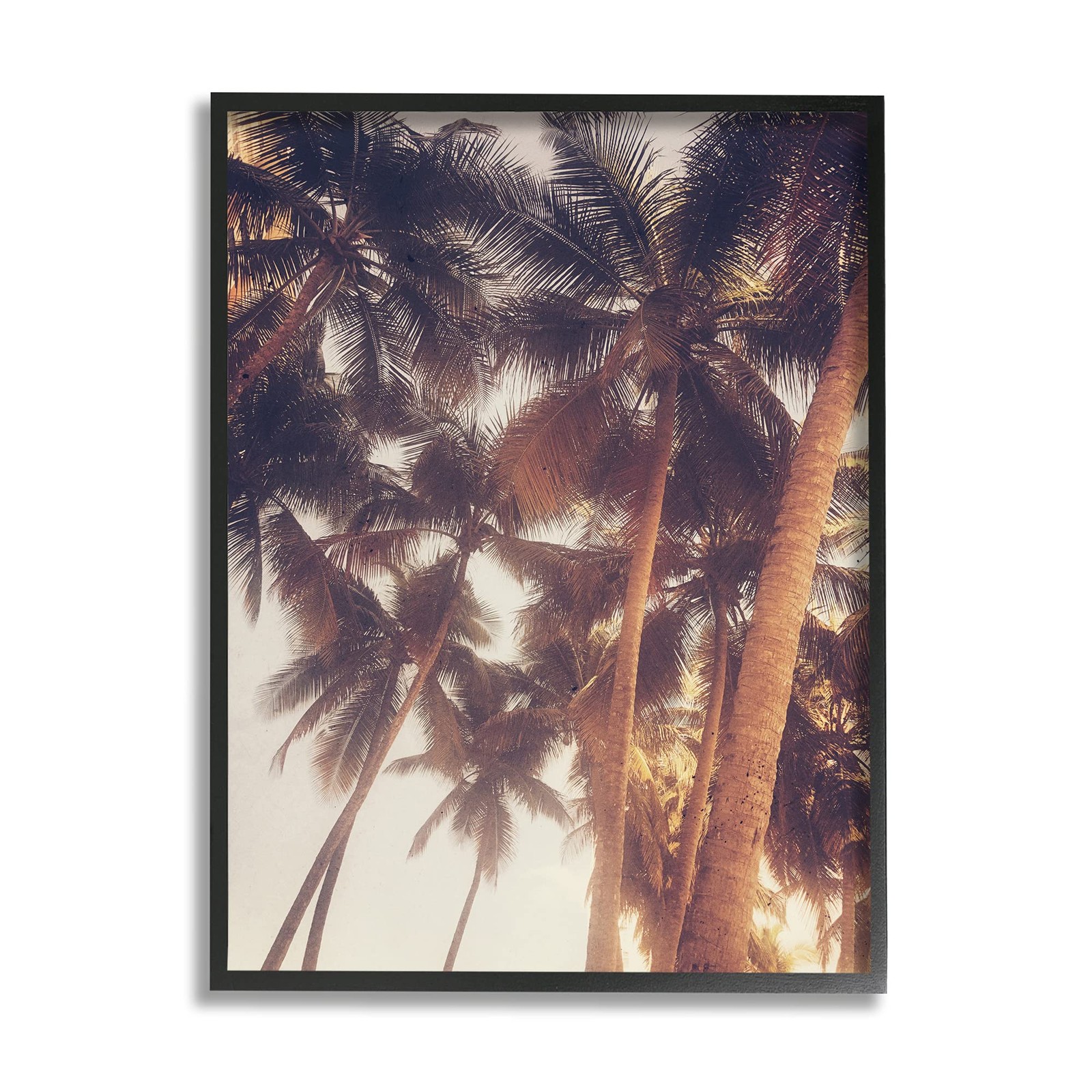 Sun Bleached Palm Tree Tops Vintage Summer Sky Art Print by Acosta in Black Frame