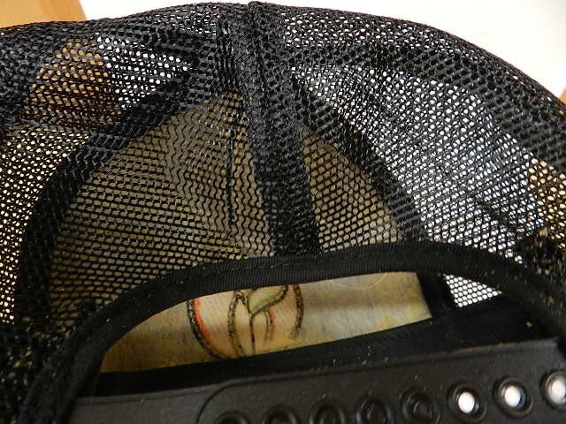 Bild 8 von 10