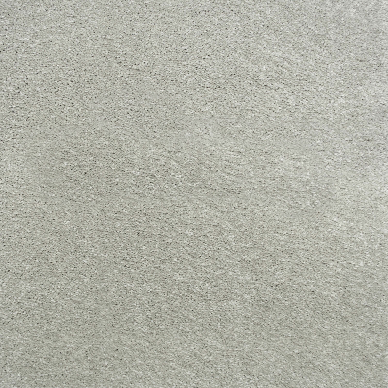 Light Grey Saxony Actionbacked Carpet Living Room Bedroom CHEAP Carpet Samples! eBay