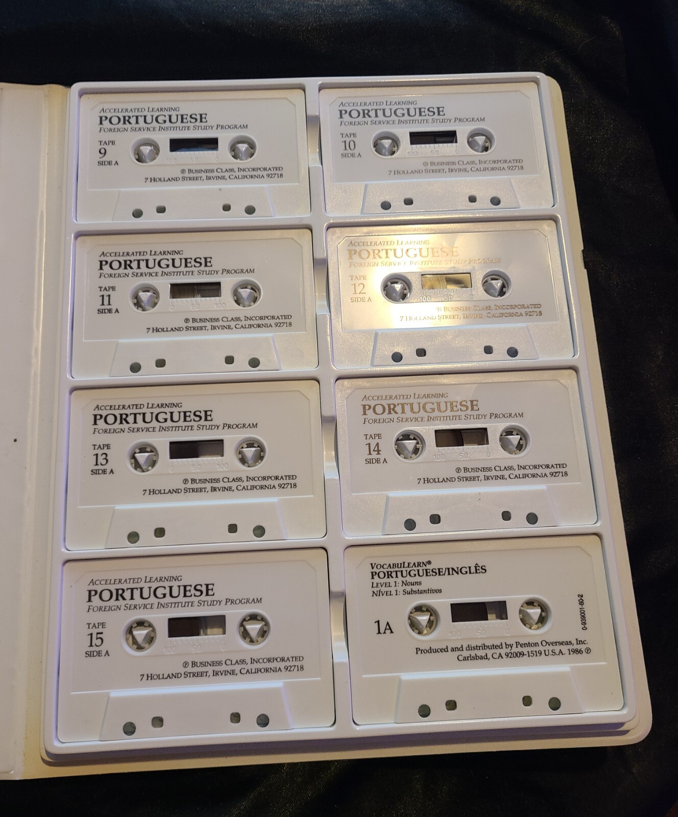 Accelerated Learning Techniques Brazilian Portuguese vol one Audio