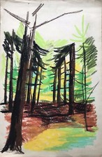 Drawing Oil Pastels Expressive Sides Conifers  Park Landscape Seagulls Sea