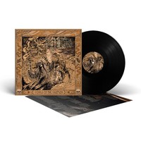 Nytt Land - Songs Of The Shaman - Vinyl Record - 98 - F72Z
