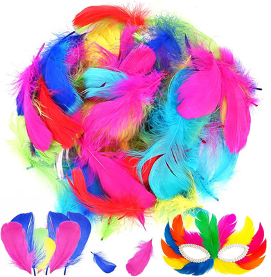 Federn zum Basteln, 300 Stück Bunte Federn Set, 8~12cm Feather für Dekoration Ho
