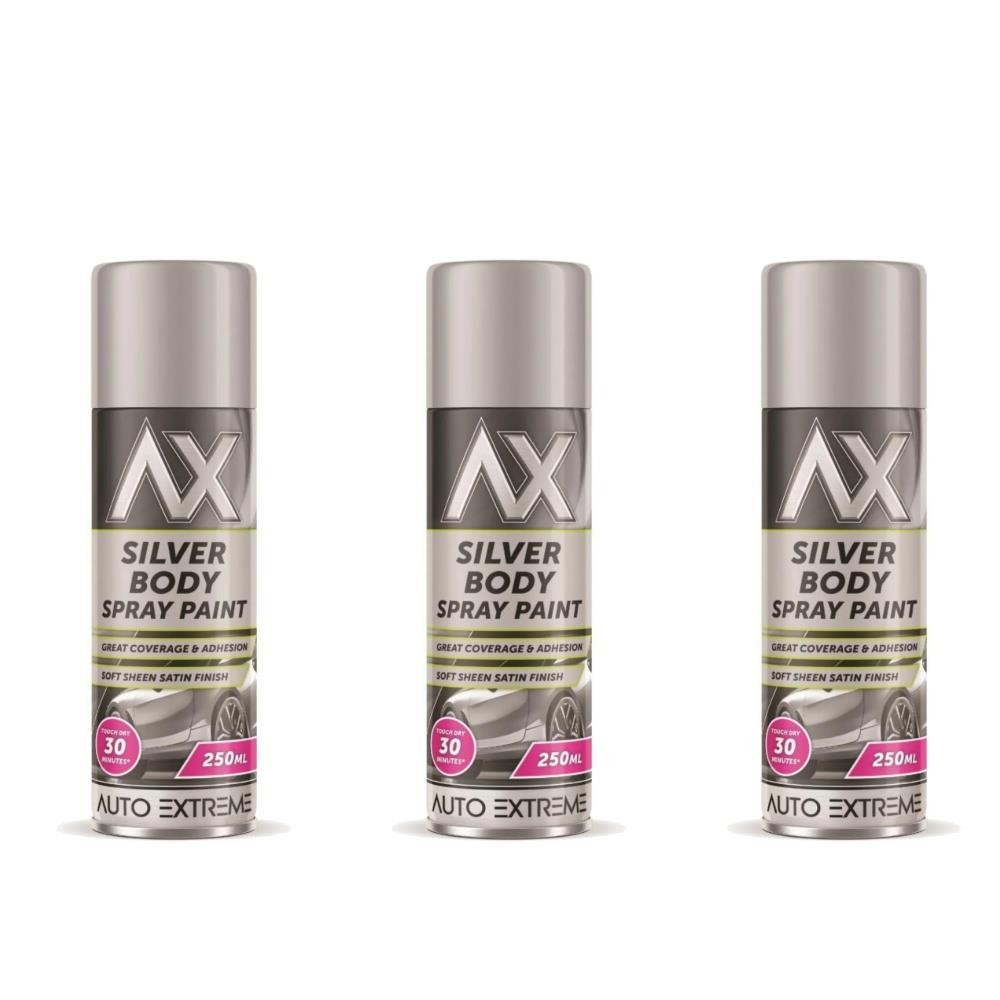 Rackhams Silver 3X Auto Extreme Paint Spray Paint 250Ml - Image 45