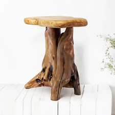 Tree Stump Side Table Live Edge Stool Natural Edge Wood Side Table Accent Table