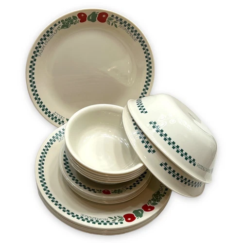 Corelle Farm Fresh Dinnerware 22 Pieces w/ 8 Dinner Plates 2 Veg Nice Condition