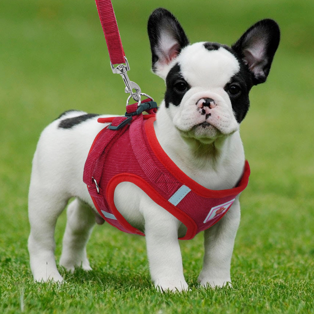 Small Dog Harness Leash Set No Pull Soft Mesh Pet Cat Reflective Vest