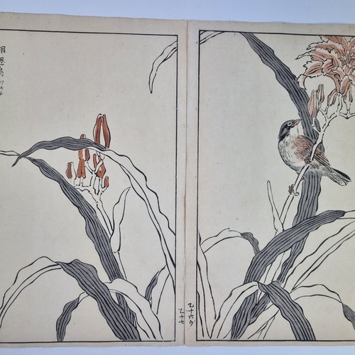 Bairei Kono Vintage Japanese Woodblock Print Bird On A Flowering Branch - Picture 2 of 19