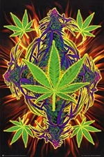 Flaming Leaf Pot Marijuana Laminated Poster - 24.5" x 36.5"