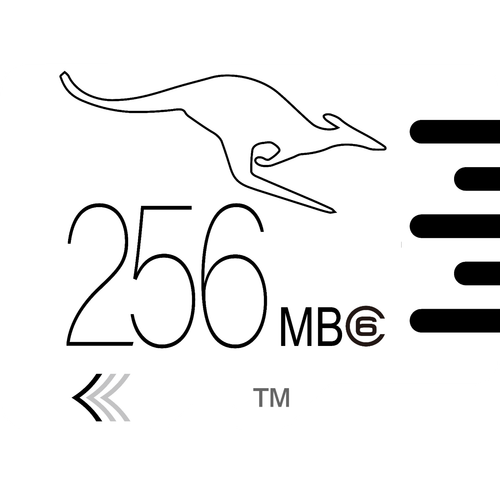 Micro SD Card NeoEdge V 128MB 256MB 512MB Classified Memory - Zdjęcie 7 z 16
