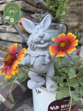 Bean Bunny Garden Statue - The Muppets 3d Vision Show Disney Flower Parks