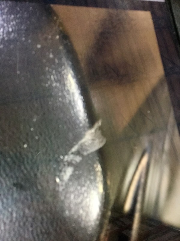 Picture 3 of 12