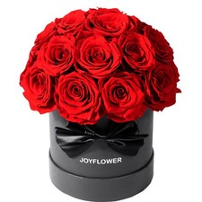 Preserved Flowers Box for Her, Mother's Day Forever Flowers Red Rose Gift for...