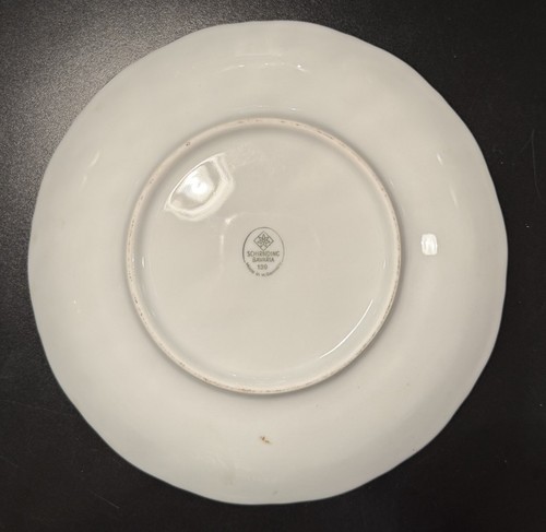Plato de porcelana de hueso floral rosa Schirnding Bavaria c. 1970 Cottagecore ¡RARO!! - Imagen 2 de 5