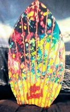 Skim Lizard Skim Board 35x18.5 Bright Colorful Boogie Board Beach