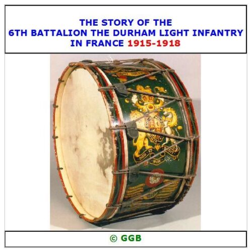 THE STORY OF THE 6TH BATTALION DURHAM LIGHT INFANTRY IN FRANCE 1915-1918 CD ROM - Picture 1 of 1