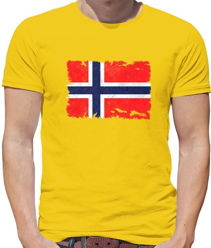 Norvegia Bandiera - Rosso/Blu/Bianco