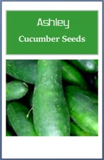 Ashley Cucumber Seeds | Fresh NON-GMO Cucumber Seeds Heirloom Seeds