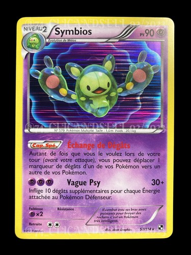 Pokémon: Set Allenatore Fuoriclasse Scarlatto e Violetto – Fulmine Nero – Zekrom del GCC Pokémon (1 Carta Promo Interamente Illustrata di Fulguris, 9 Booster e Accessori di Gioco Premium
