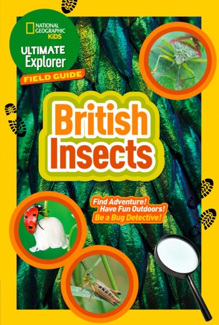Ultimate Explorer Field Guides British Insects by National Geographic Kids