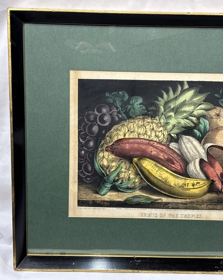 Antiguo Currier & Ives Fruits of the Tropics original de la década de 1870 estampado coloreado a mano Foto 3 de 4
