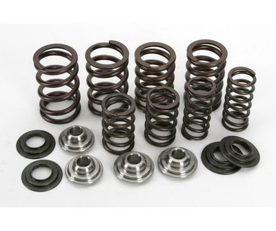 Kibblewhite Valve Spring Kit 82-82200 RZR 800/800S 2008-2010