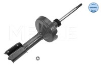 Vorderachse Meyle 16-26 623 0010 StoßDäMpfer FüR Renault