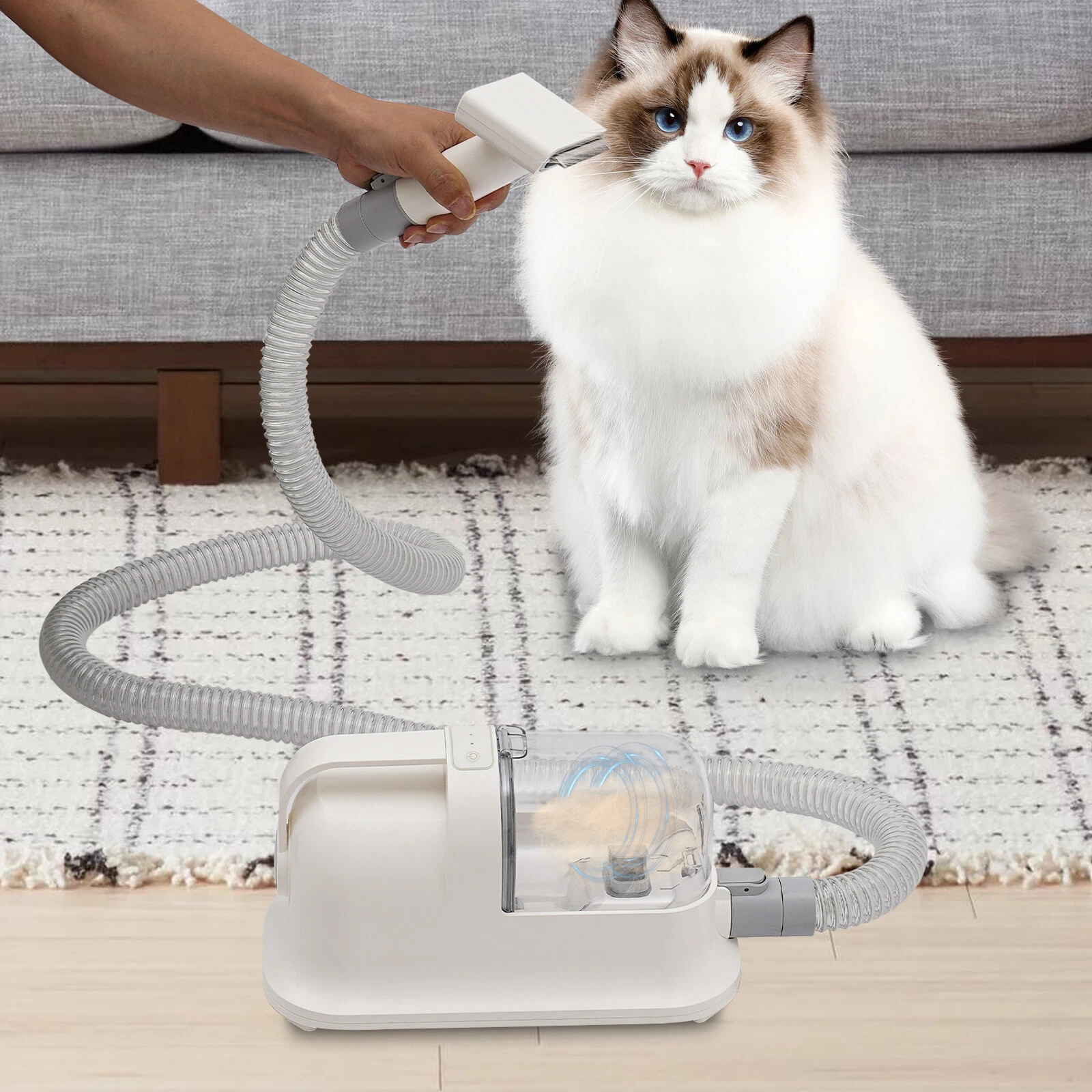 Professional Dog&Cat 11800pa Pet Grooming Tools For Shedding Pet Hair 3 Function
Opens in a new wind