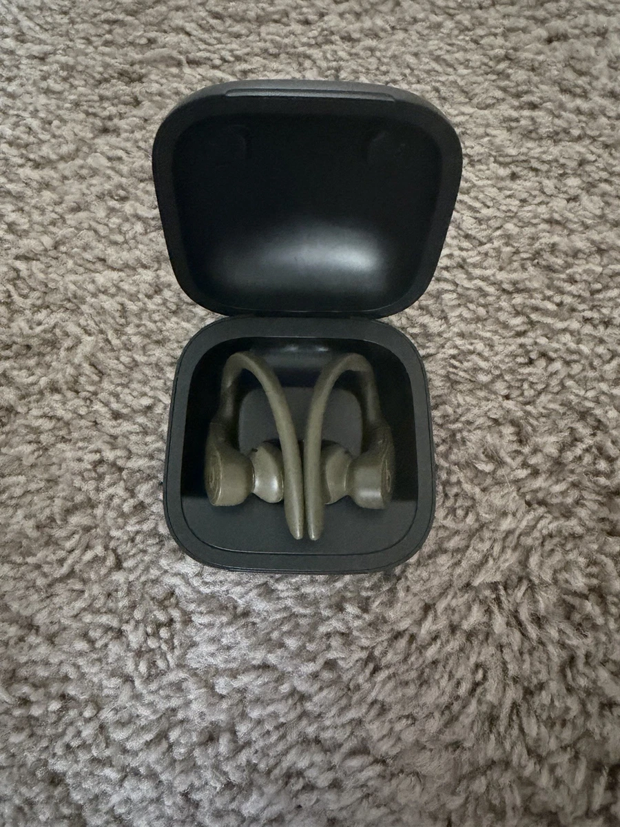 Beats by Dr. Dre Powerbeats Pro Green Headphones for sale - eBay