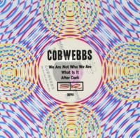 Cobwebbs We Are Not Who We Are Vinyl Neu