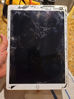 Apple iPad Pro 2nd Gen. 64GB, Wi-Fi + 4G, 12.9 in Gold UNRESPONSIVE for Repair