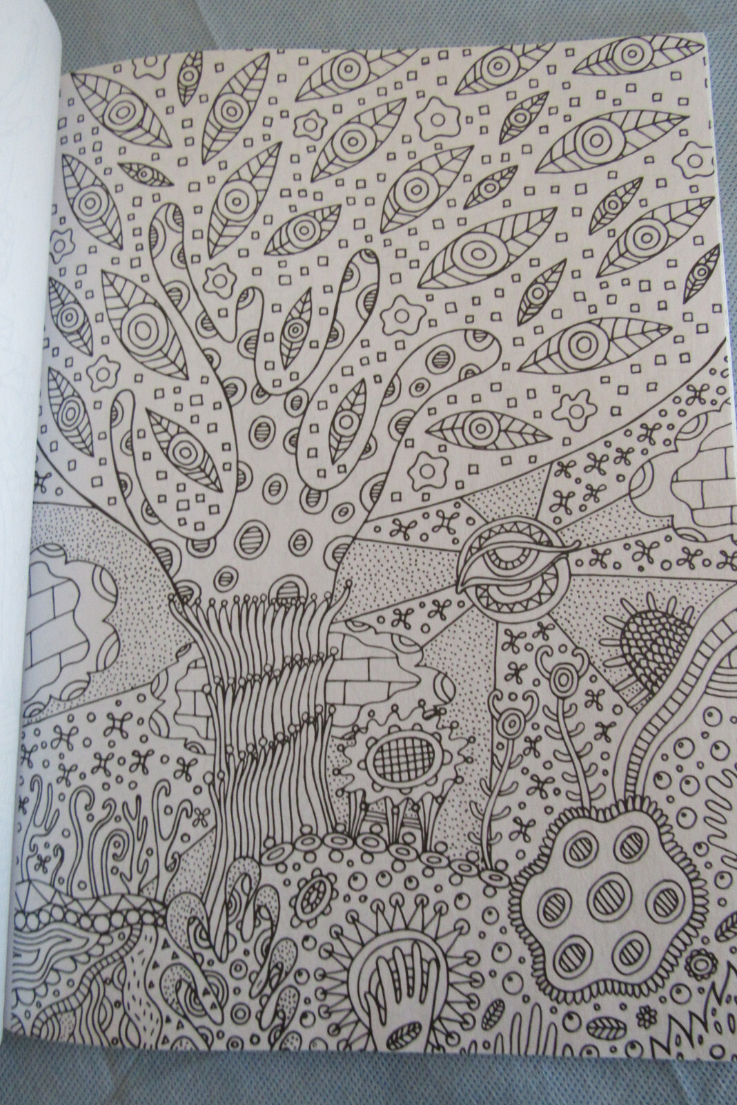 Picture 9 of 12