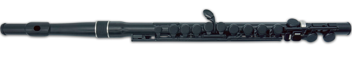 NUVO Студенческая флейта NUVO 20 черный 34390₽
