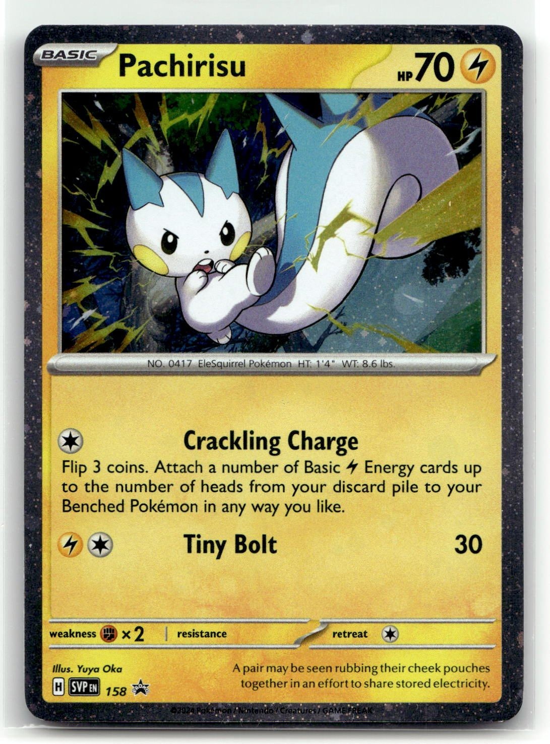 Pachirisu [SVP - 158]NM