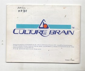 Flying Dragon The Secret Scroll NES Original Nitnendo Manual Only Authentic