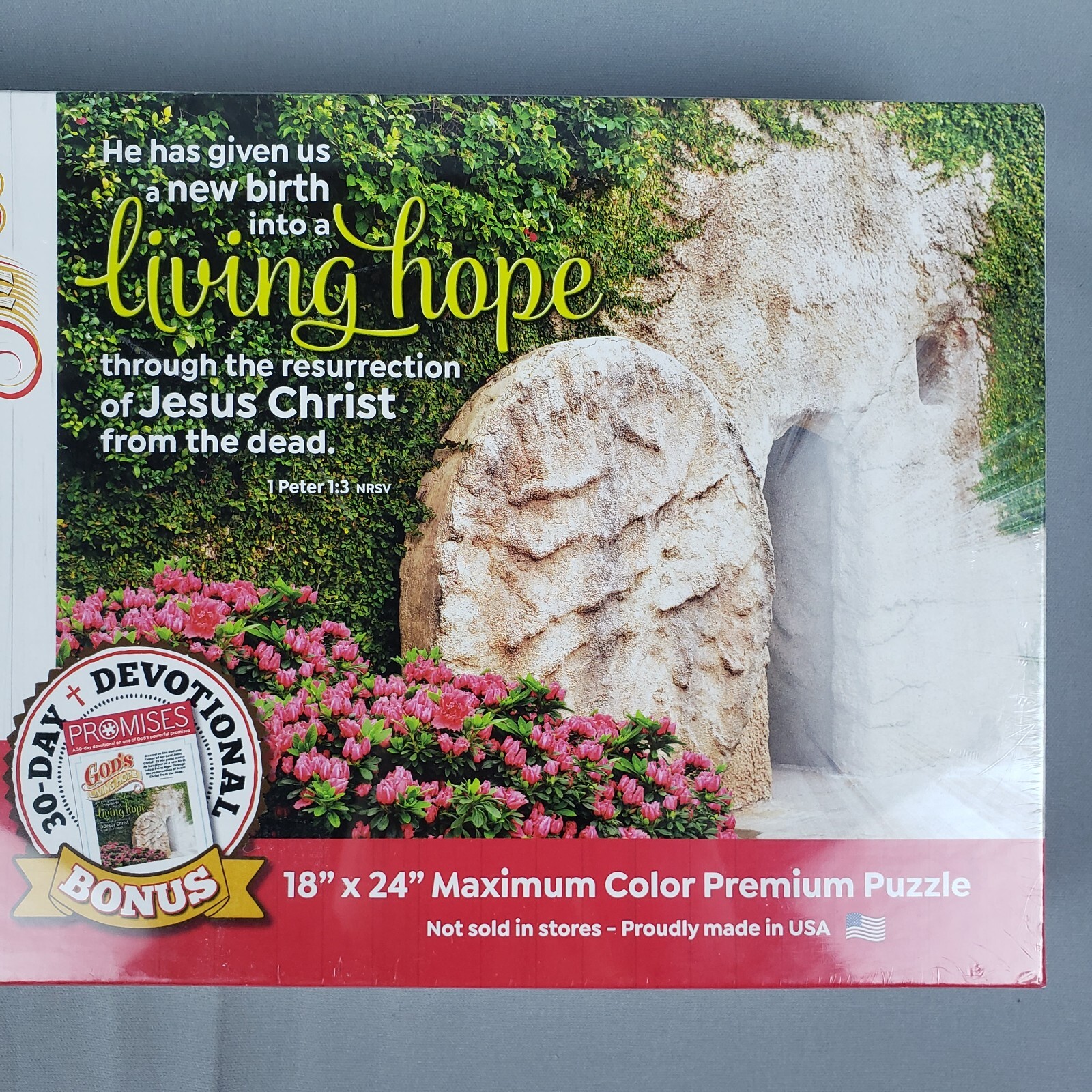 FairHope's Promise Puzzle GOD'S LIVING HOPE 300 Lg Piece Bible Verse