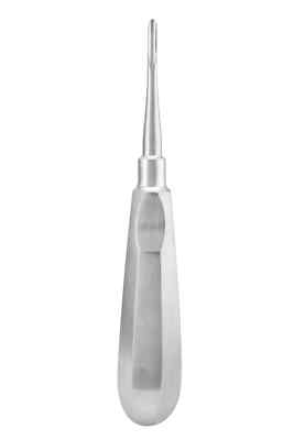 6 Root Elevators, 680/1, Round Tip, 2mm, Premium Stainless