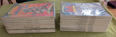 58x Storm, Camelot, Warlord, Die großen Phantastic Comics 1 - 58 komplett  Ehapa