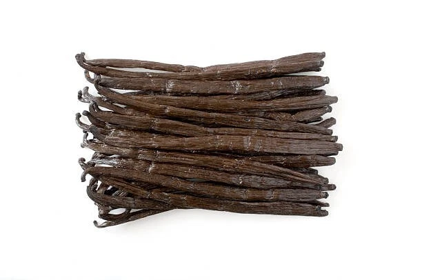 Frijoles de vainilla de Madagascar 1 lb grado B para extracto Foto 3 de 4