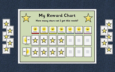 Asd Behaviour Chart