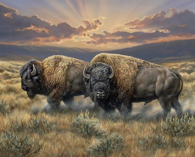 Dusty Plains Buffalo Fabric Panel 35 inches x 45 inches