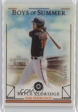 2024 Panini Boys of Summer 260/275 Bryce Eldridge #66 19c6