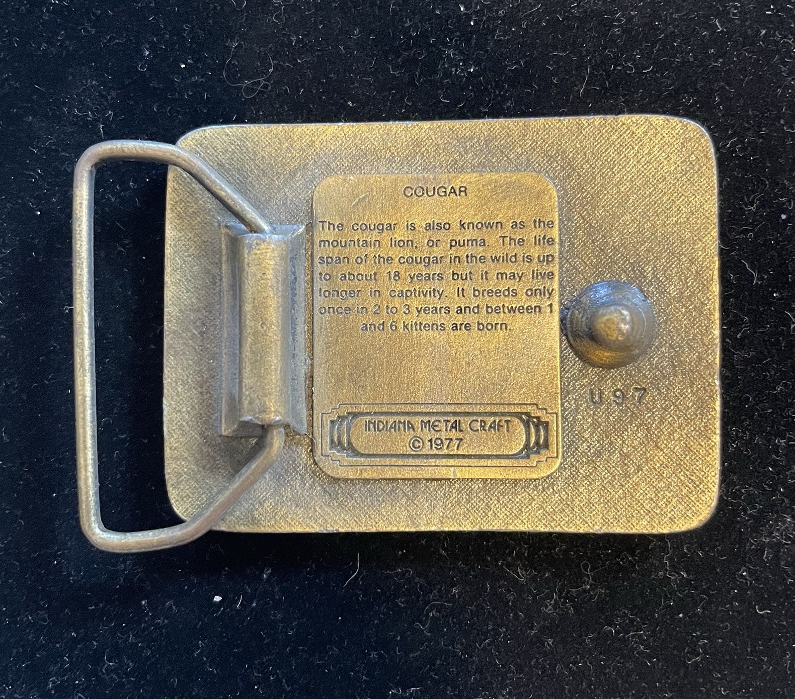 Vintage 1977 Cougar Indiana Metal Craft Belt Buckle thumbnail 7