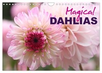 Magical Dahlias (Wall Calendar 2026 DIN A4 Landscape), Calvendo 12 Month Wall...
