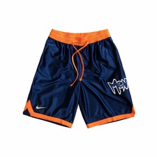 lebron monstars shorts