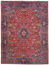 Vintage Traditional Pictorial Design Oriental Rug Carpet Living Room 10X13