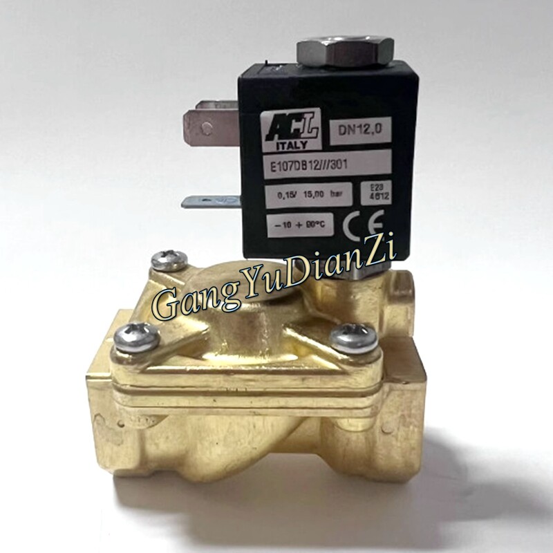 1PCS NEW FOR ACL E107DB12///301 solenoid valve E107DB12 301 DN12