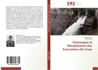 Pathologies Et RéHabilitation Des ÉVacuateurs De Crues Yasyn Merigh