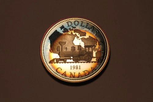 MEGA TONED 1981 Canada Dollar Proof-Like Coin UNC Canadian $1 TONER TONING BU