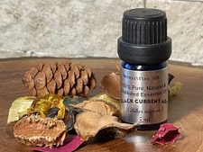 Blackcurrant Bud  Absolute, 100% Pure  Essential Oil. (Ribes nigrum)  Undiluted